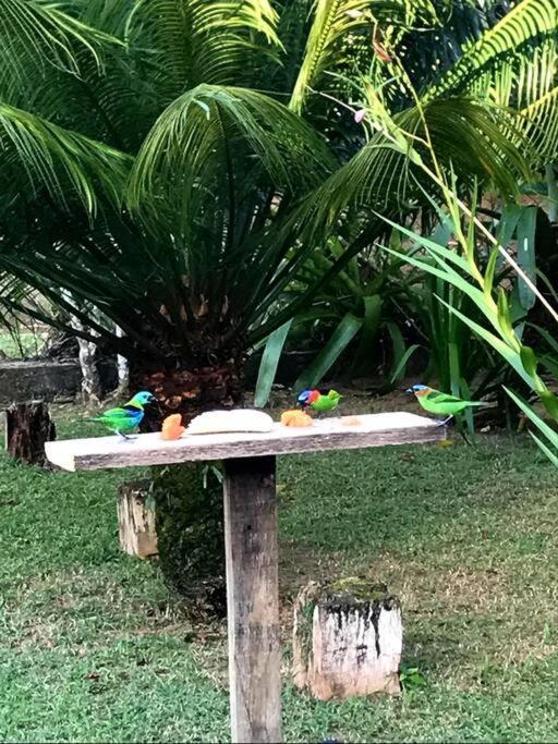Itamambuca A Beira Mar Com Piscina Villa Ubatuba Exterior foto